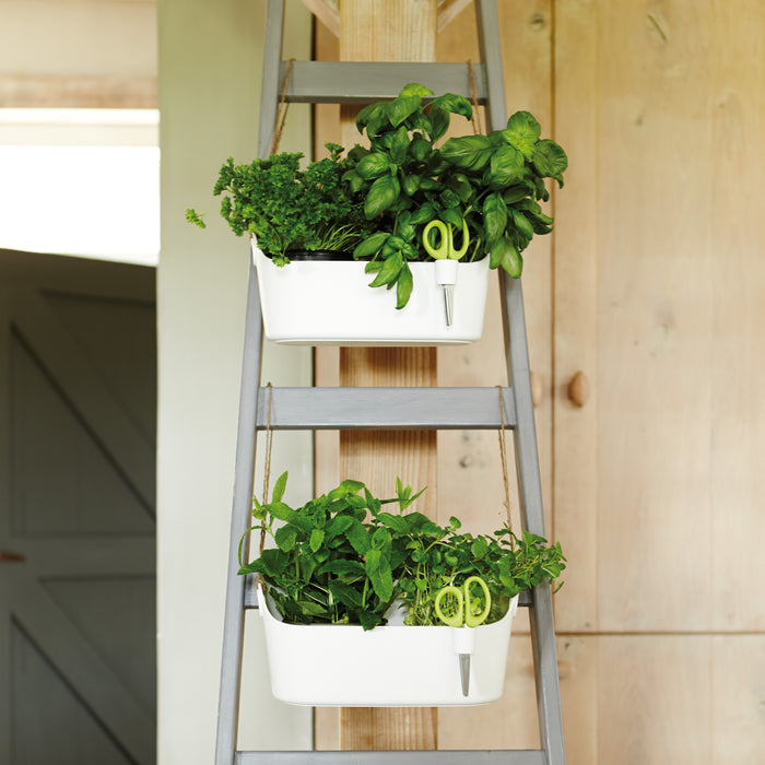 Elho Brussels Herbs Station Kruidenpot