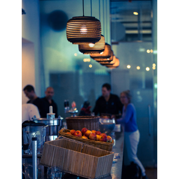 Graypants AUSI 14 Hanglamp