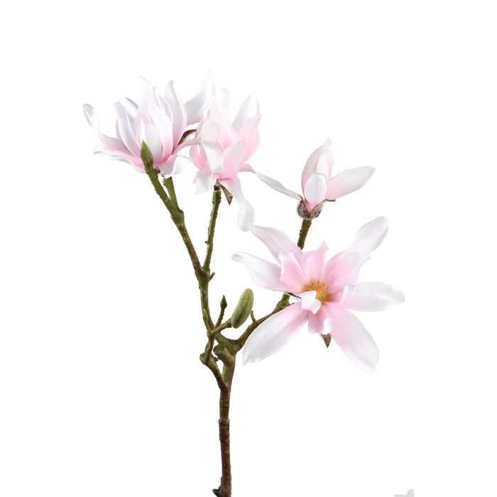 PTMD Magnolia Flower Japanse Magnolia Kunsttak - 23x23x63 cm - Roze