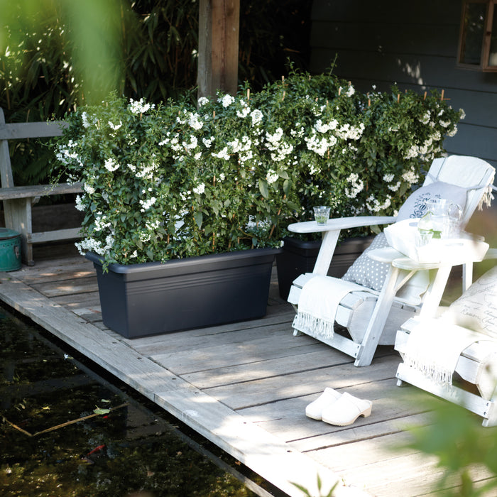 elho Green Basics Garden XXL Bloembak 100 cm