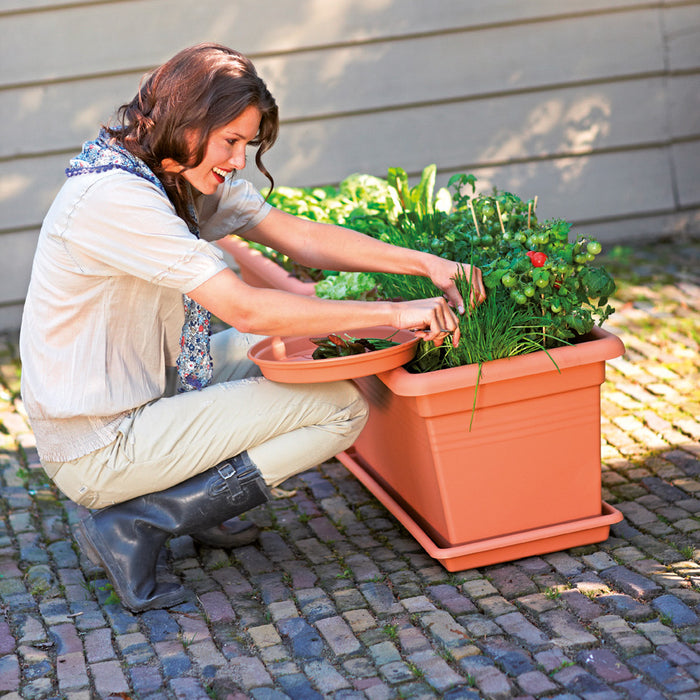 192229-x02.jpg (1604801)