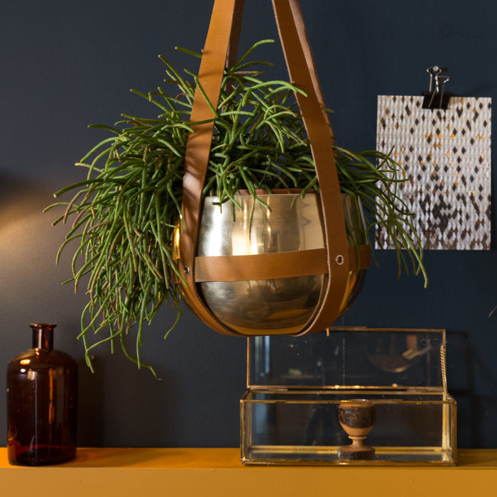 191235-x4.jpg (1617933)