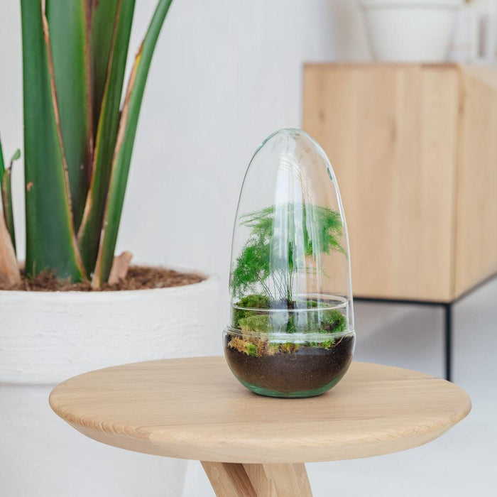 Egg Medium - Asparagus - ↑25cm | ø12cm