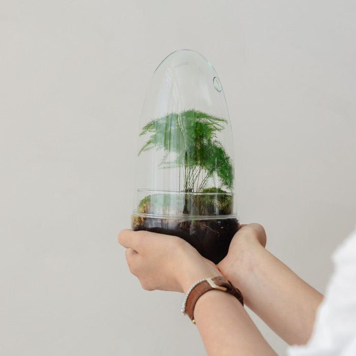 Egg Medium - Asparagus - ↑25cm | ø12cm