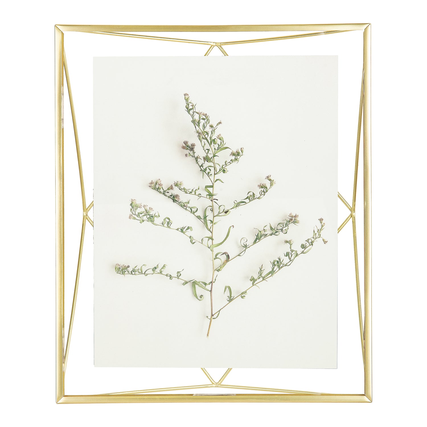 Umbra Prisma Fotolijst 30 x 25 cm - Goud