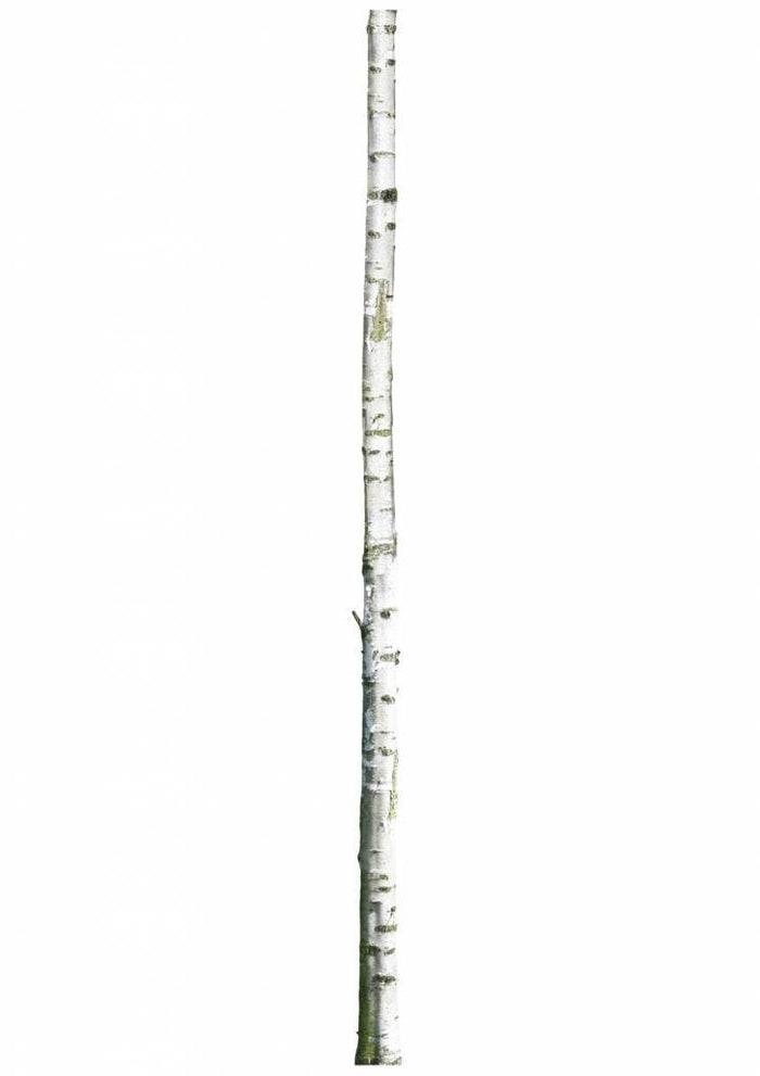 119252-1.jpg (1654285)