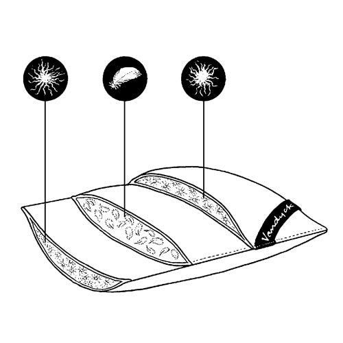 Vandyck Driekamer Hoofdkussen