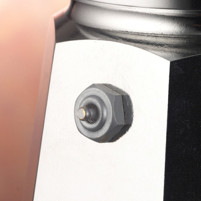 Bialetti Moka Express Percolator 2 kops