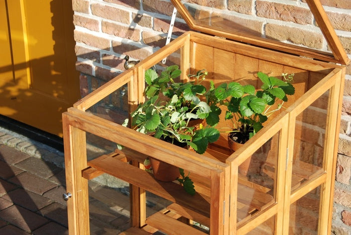 Esschert FSC Hardhouten Kweekkas