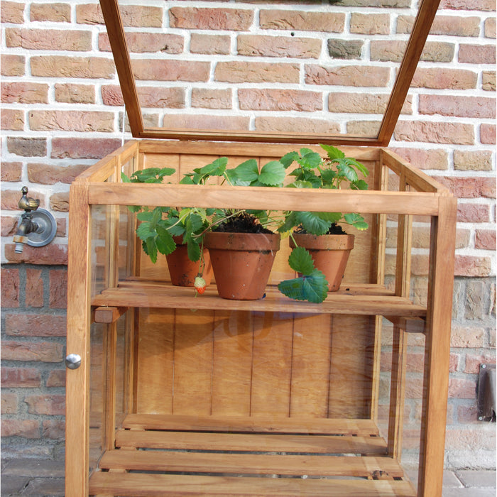 Esschert FSC Hardhouten Kweekkas