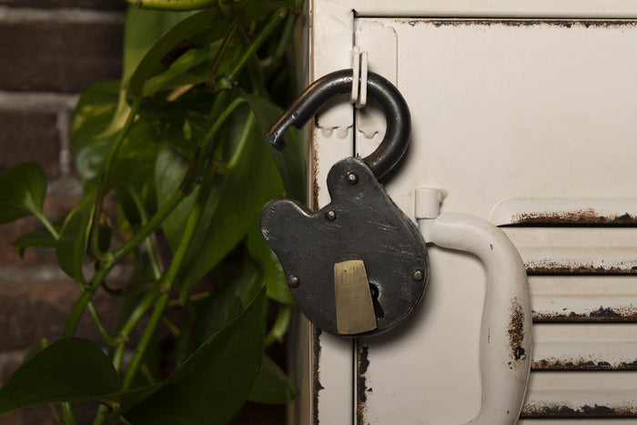 975738d4-2720-4cb4-b11e-d62dfc39ee20-afbeelding4.jpg (1686702)