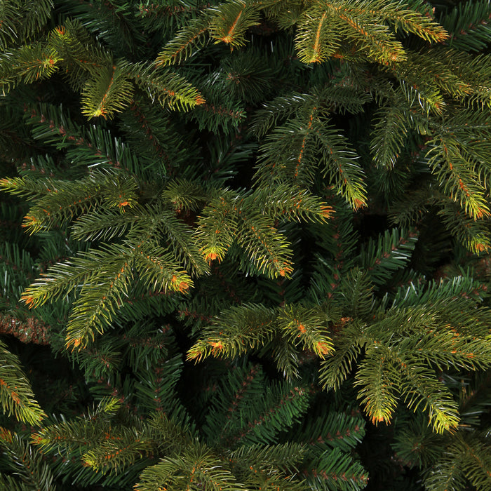 Black Box Frasier Kunstkerstboom H 185 cm