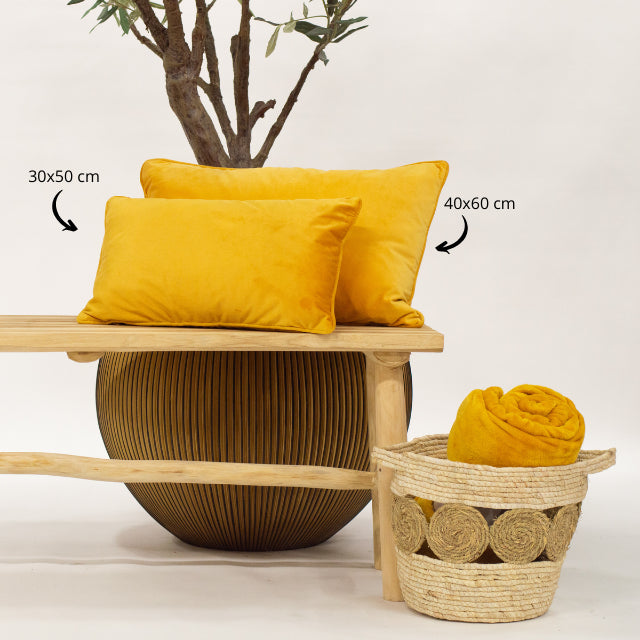 cd749f0b-acf4-40c9-932c-41b9c052da3a-afbeelding3.jpg (1697047)