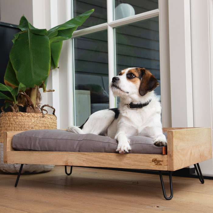 280283-x1.jpg (1719746)