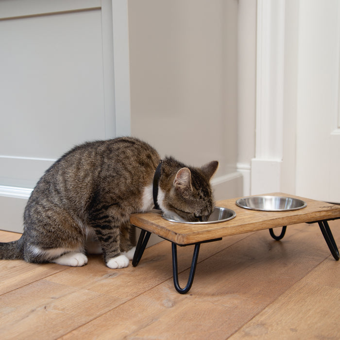 Designed by Lotte Linga Voerbak Kat