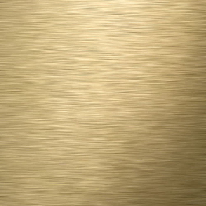 Tiger Tune Toiletborstel met Houder Vrijstaand - Messing Geborsteld / Zwart