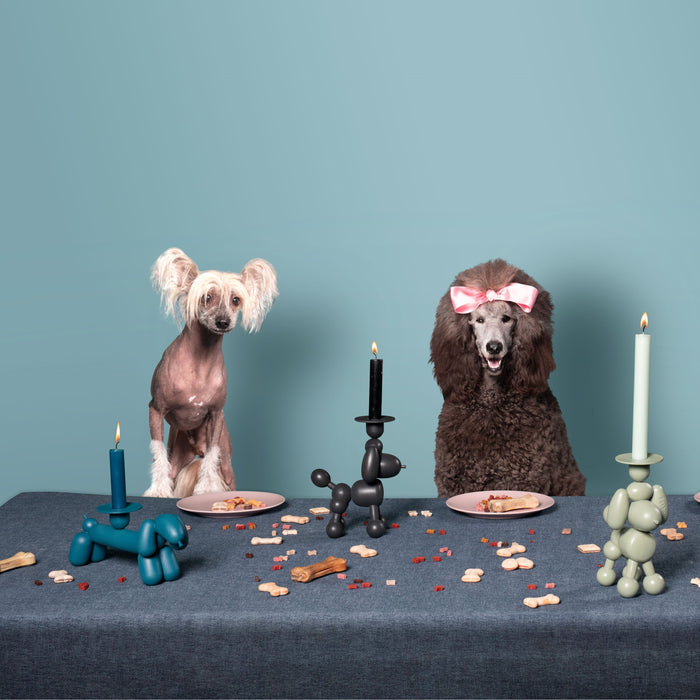 Fatboy® Can-Dog Kandelaar