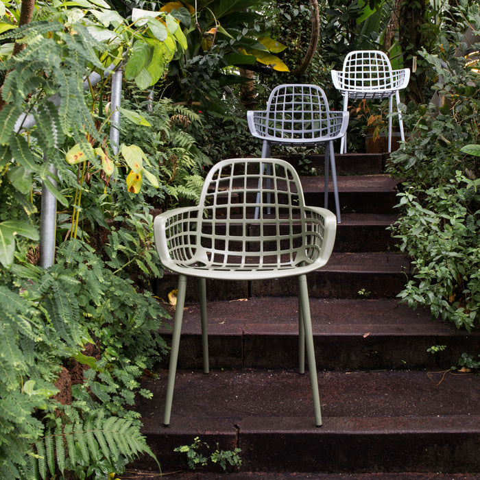 229297-x17.jpg (1747003)