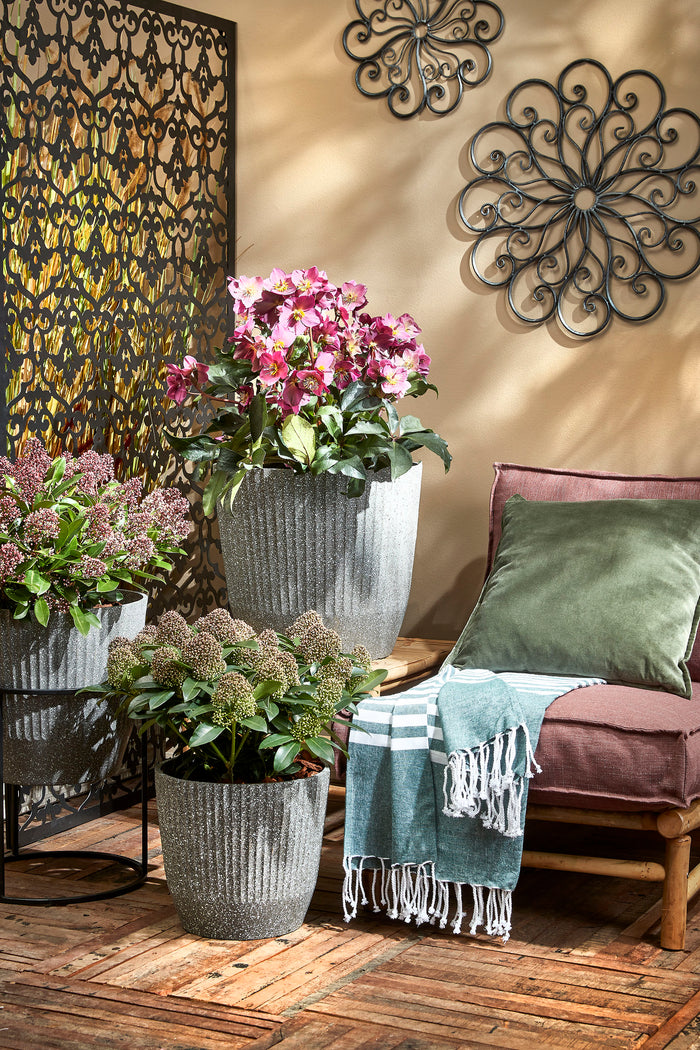 In the Mood Collection Hamamdoek - L180 x B130 cm - Groen