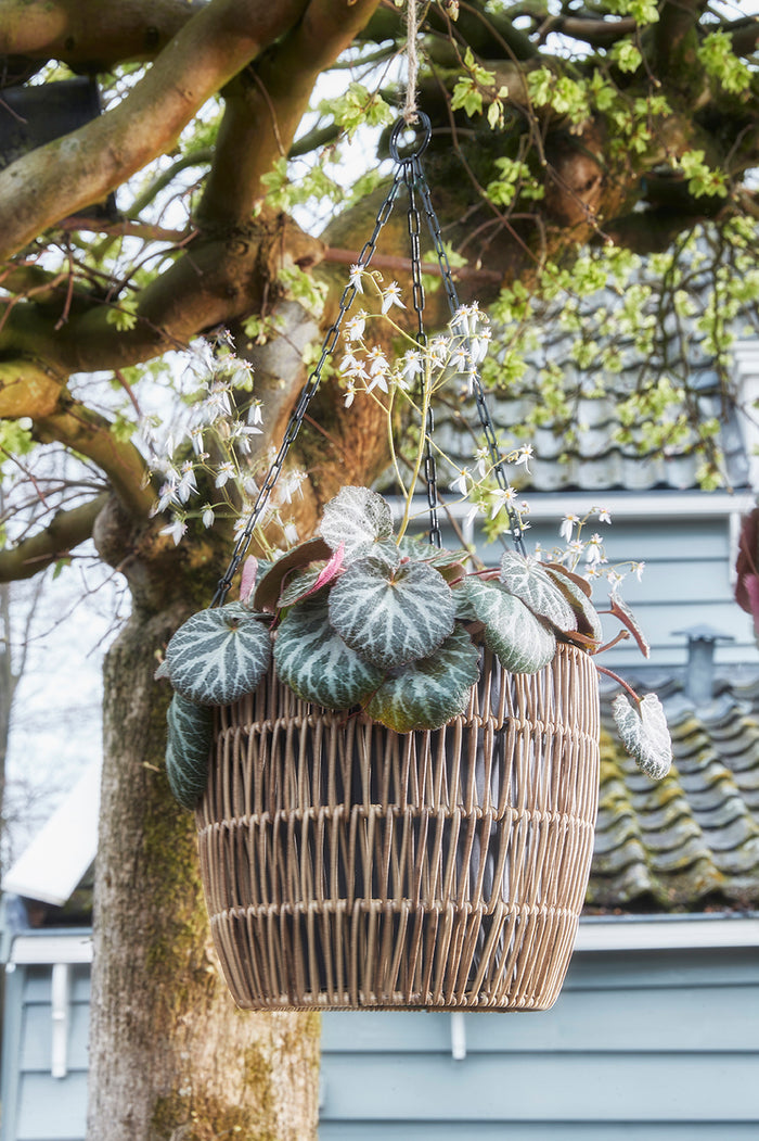 Mica Decorations Peta Hangende Bloempot voor Buiten Bruin