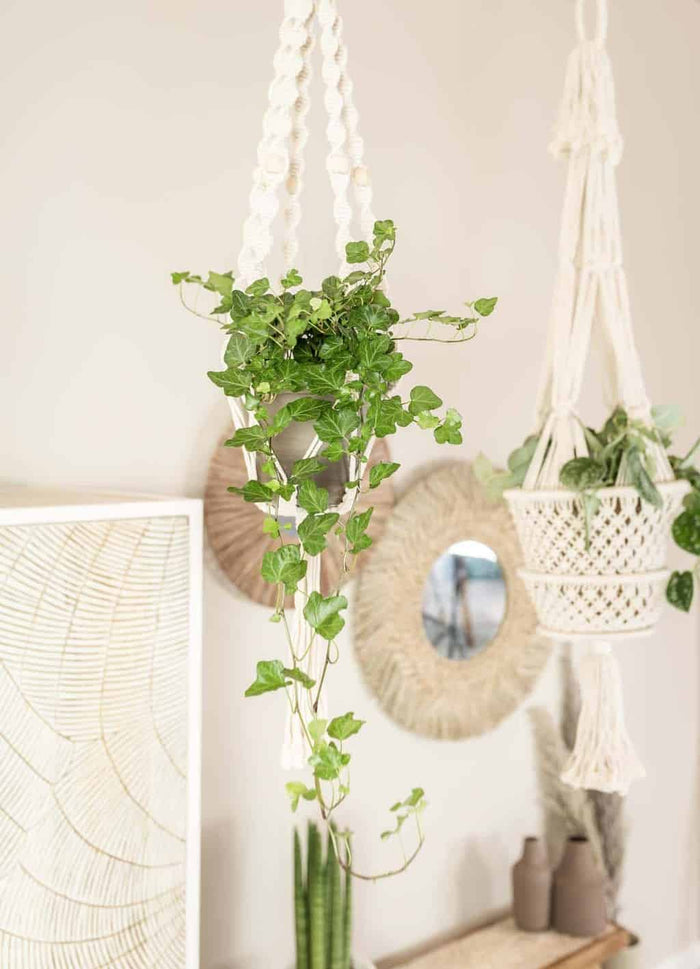 Liviza Macramé plantenhanger kralen naturel