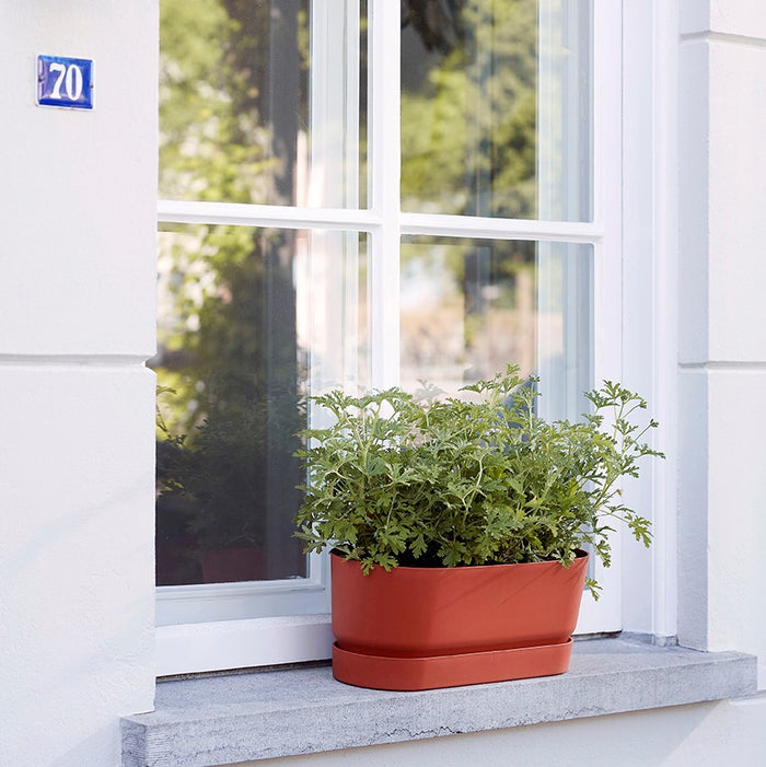 Elho Greenville Bloembak 50 cm