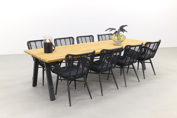 VDG Jasmine black|Ambassador 300x100 cm. tuinset - 9 delig