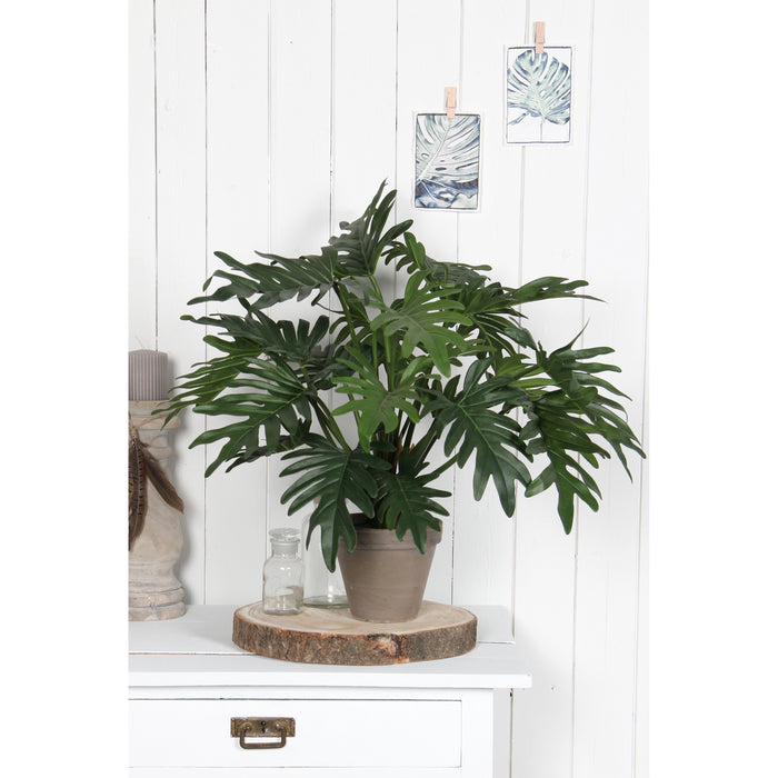 Mica Decorations Philodendron Kunstplant - H60 x Ø80 cm - Groen