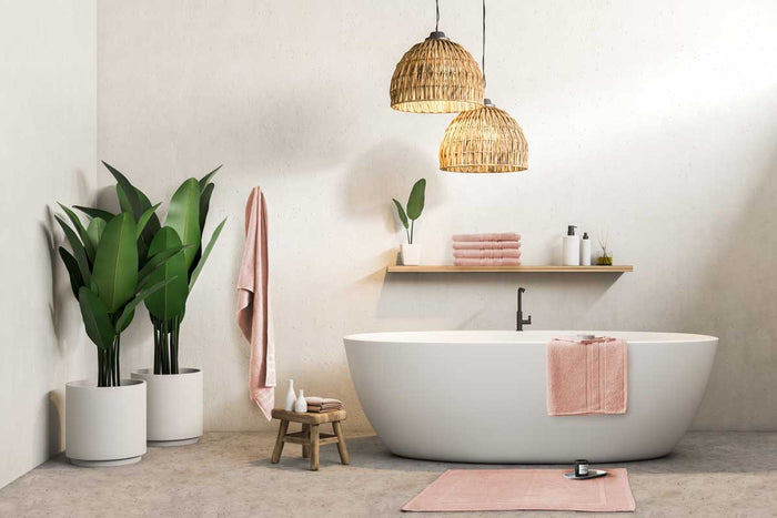 2be3edad-1fbc-42e7-857c-1020c0ddf1d2-afbeelding3.jpg (1800294)