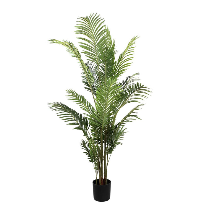 df393cc7-15c9-434b-b5cb-1aff16224cf7-afbeelding4.jpg (1802855)