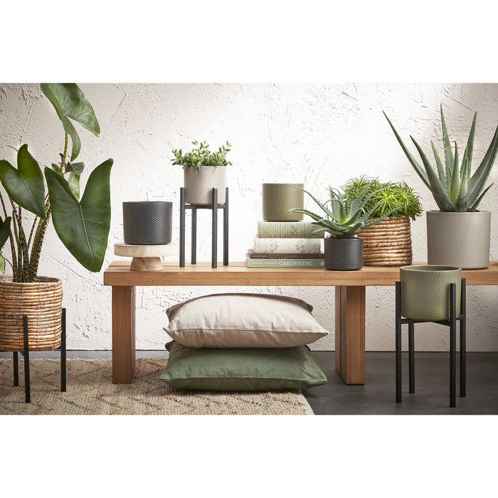 a671d1a3-8d67-46f5-9f1c-3a5397cafc7d-afbeelding7.jpg (1835860)