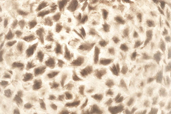 Villaflor Hanglamp Wangi White UFO 60cm Ø E27 Fitting