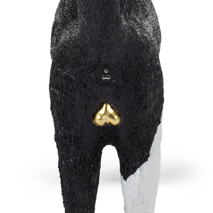 238342-x2.jpg (1845893)