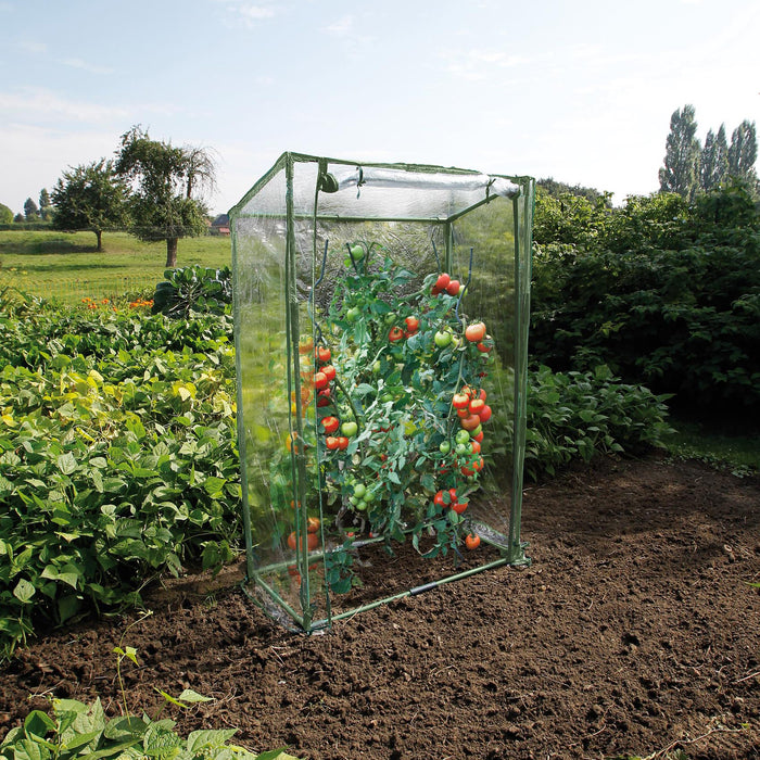 Nature Kweekkas Tomaten