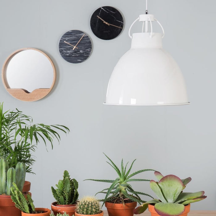 164359-5.jpg (1919333)