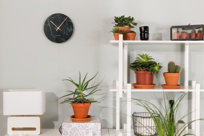 164360-4.jpg (1923503)