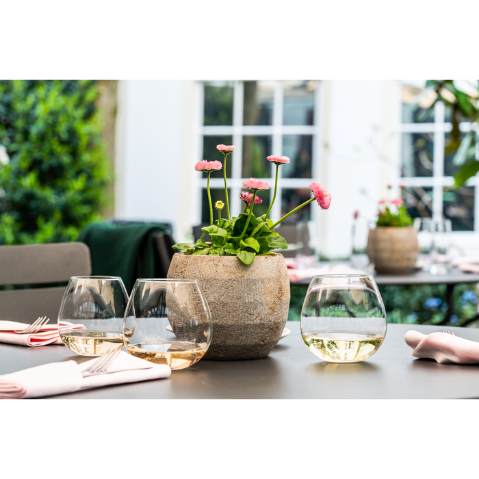 Royal Leerdam Wijnglazen - 6x - zonder voet - 470 ml -Ronda- glas