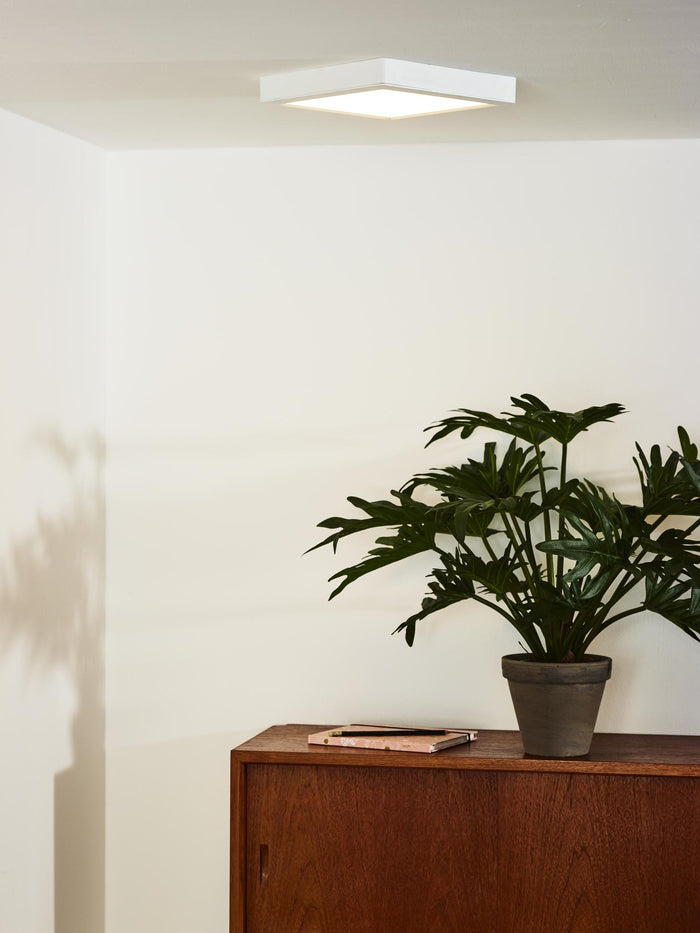 9ed8bd94-866b-44f1-a551-0d79bc5f4060-afbeelding4.jpg (2059390)