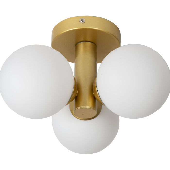 fcde5080-a010-4fef-91bf-dcaf83845c2b-afbeelding3.jpg (2062235)