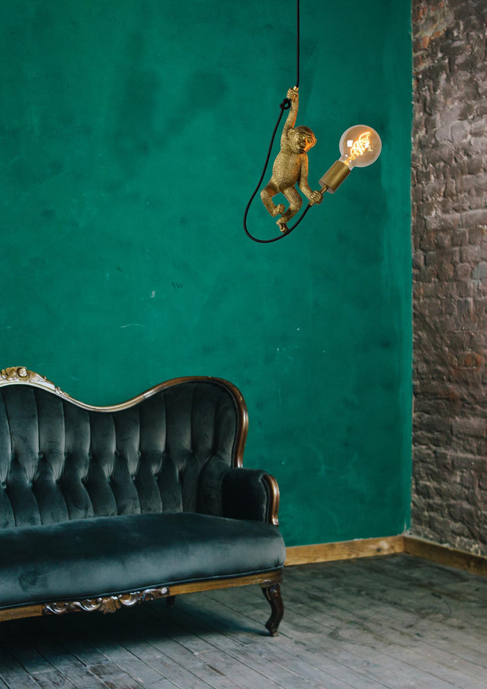 Lucide EXTRAVAGANZA CHIMP Hanglamp - Zwart