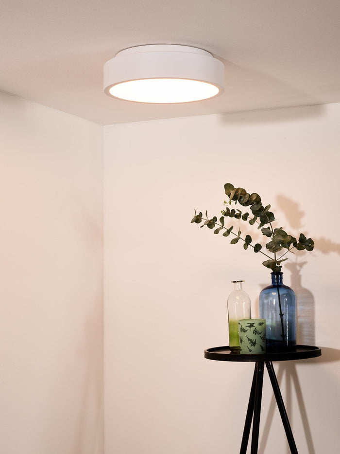 ec6e465d-b499-4b53-8be6-43313db5423c-afbeelding4.jpg (2065446)