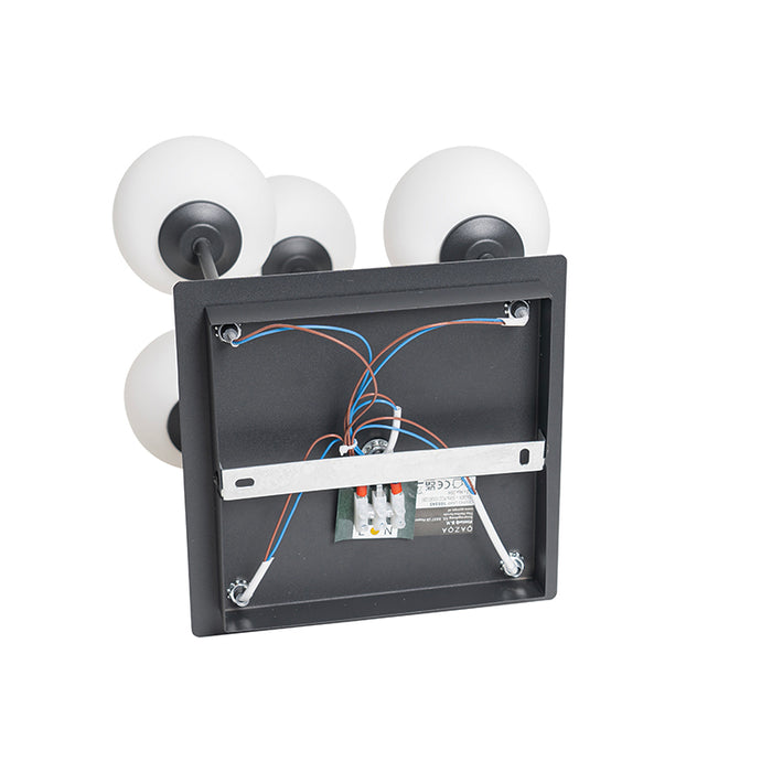 95b4e953-024a-4121-8380-38d5fbc2d24a-afbeelding11.jpg (2079673)