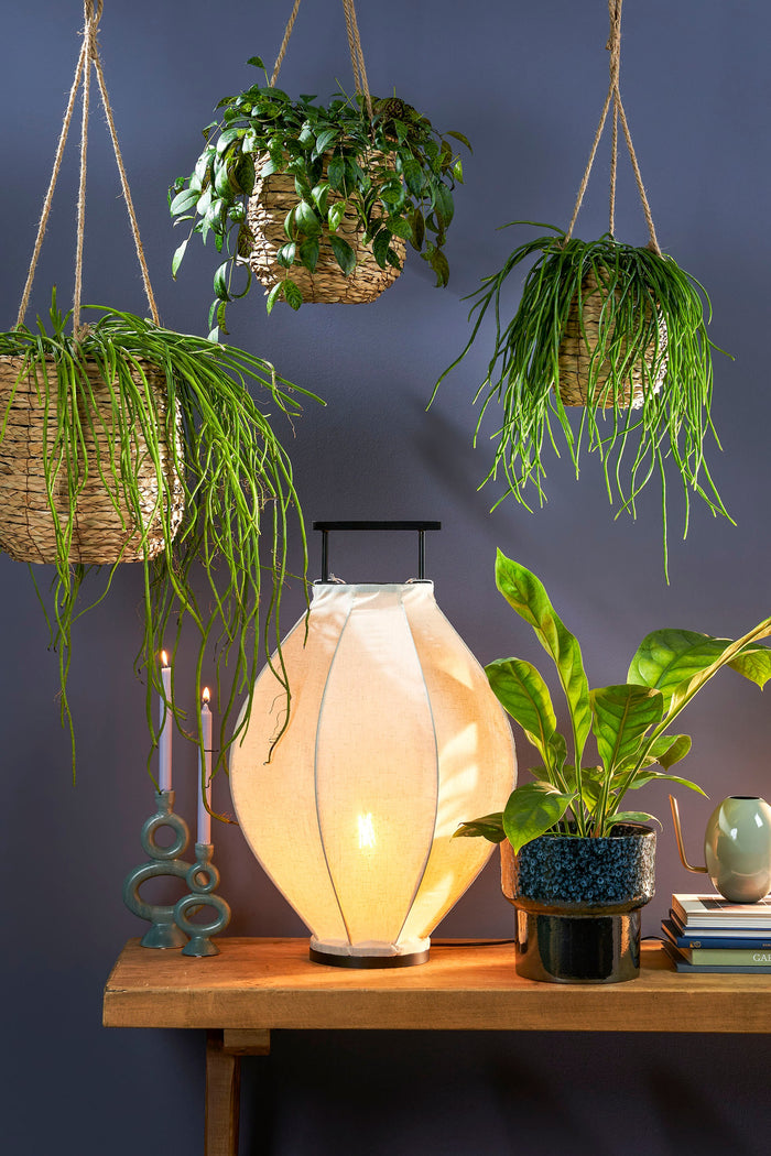 4b0f7698-a45d-4fd6-87c3-437683bade8d-afbeelding7.jpg (2094022)