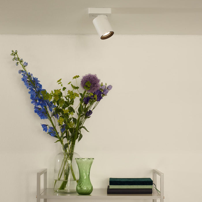 86e0d250-9637-46fd-984a-f8ac33a8970f-afbeelding4.jpg (2129420)