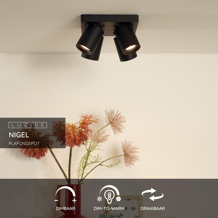 04c617a9-3d85-4309-9507-fa5d428a866e-sfeerbeeld.jpg (2132521)