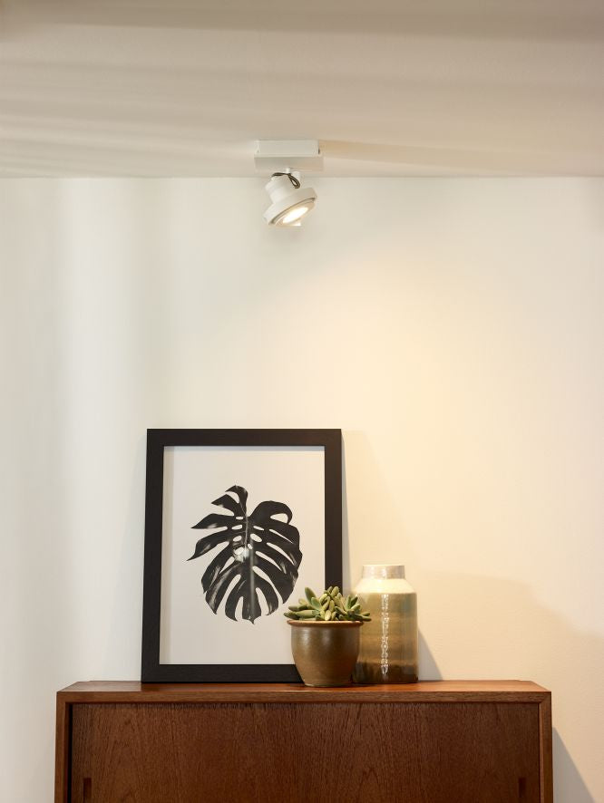 07243618-9790-4a09-8a4a-048b5d77bbe6-sfeerbeeld.jpg (2134428)