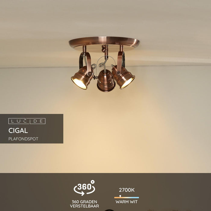 27259d5f-9055-4e00-b9ff-b95379186235-sfeerbeeld.jpg (2162828)