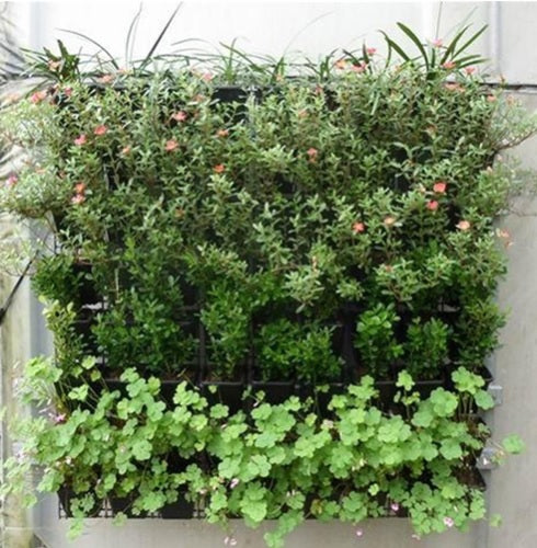 QUVIO Verticale tuin - plant wand met 56 vakken - 1 x 1 meter