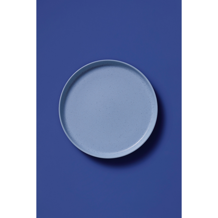 Palmer Bord Sandy Loam 28 cm Blauw Stoneware 2 stuks