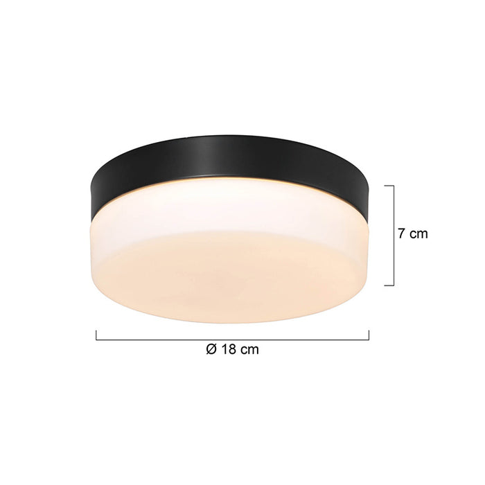 Steinhauer Plafondlamp Ikaro Ø 18 cm IP44 zwart